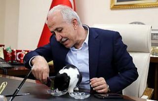 Başkan Gültak, engelli kediyi misafir etti