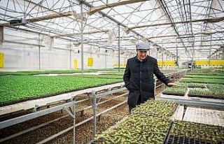 Başkan Soyer’den Dikili, Bergama, Kınık programı