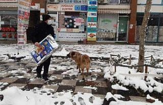 Başkan Yüksel sokak hayvanlarını elleri ile besledi