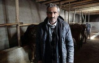 Bataklığa saplanan ineğin sahibi Mehmet Emin Amca...