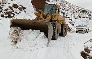 Batman’da kar yağışı nedeniyle ulaşıma kapanan...