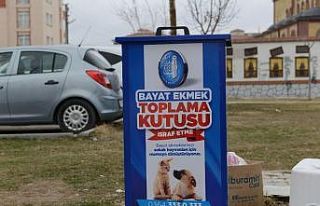 Bayat ekmekler sokak hayvanlarına mama olacak