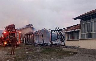 Besi damında çıkan yangın kısa sürede söndürüldü