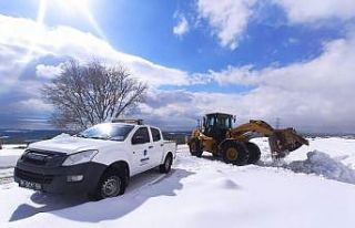 Beyaz esarete geçit yok