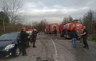 Beykoz’da orman yangını çıktı. Olay yerine...