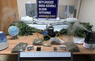 Beylikdüzü’nde seraya çevrilen evin çatısında...