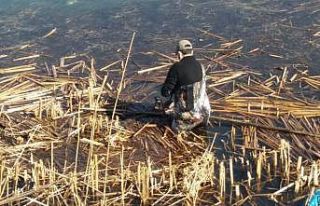 Beyşehir Gölü’nde balıkçı ağına takılan...