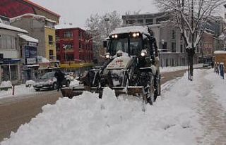 Bilecik’i etkisi altına kar hayatı olumsuz etkiledi