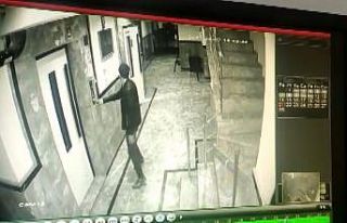 Binadan bisiklet çalan hırsız kameralara yakalandı