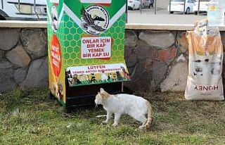 Bingöl’de  12 noktaya mamamatik yerleştirildi