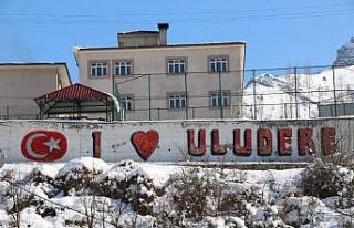 Bir ilçe daha korona virüsten arındırıldı