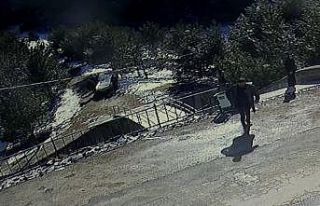 Bolu’da donmuş göle düşen köpeği kurtarmak...