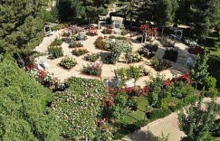 Botanik çalıştayı için başvurular 5 Mart’a...