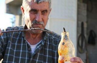 Böyle koleksiyon görülmedi