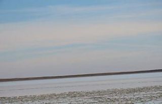 Bozkır, sekiz ay sonra flamingoların gelişiyle...