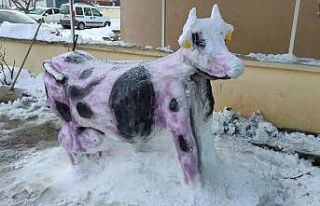 Bu da kardan ’inek’