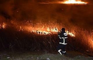 Burdur Gölü kıyısında korkutan sazlık yangını