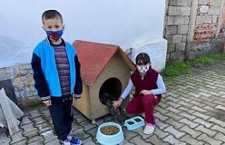 Burhaniye Belediyesi küçük Yaren’i sevindirdi