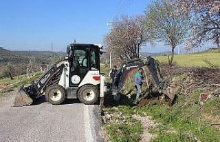 Burhaniye’de Bahadınlı yolu ağaçlandırıldı