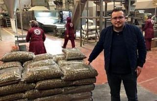 Bursa dünyaya çekirdek ihraç edecek