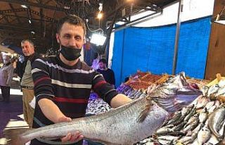 Bursa’da 6 kiloluk dev mezgidi görenler gözlerine...