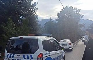Bursa’da kontrolden çıkan otomobil çalılık...