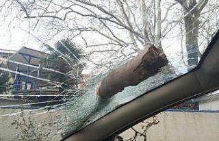 Bursa’da lodostan devrilen ağaç otomobilin camına...