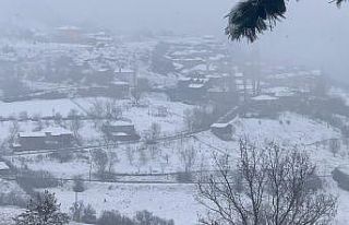 Bursa’nın dağ ilçeleri kara teslim