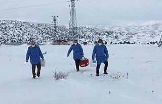 Bütün zorlukları korona virüsü yenmek için aşıyorlar