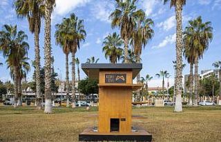 Büyükşehir Belediyesi, sahilde 10 noktaya kedi...