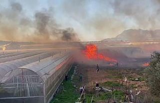 Büyükşehir, yangında serası zarar gören üreticiye...