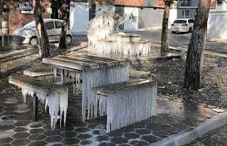 Buzla kaplanan parktan eşsiz görüntüler