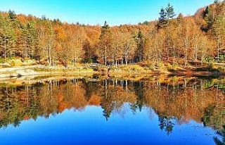 Çamlıpınar Göleti’nin muhteşem manzarası havadan...