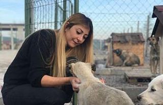 ’Can dostlarının’ yaşama tutunmaları için...