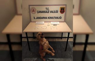 Çanakkale’de 3 zehir taciri tutuklandı