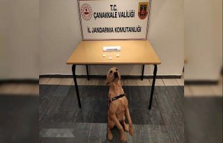Çanakkale’de jandarmadan uyuşturucu operasyonu:...