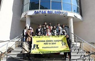Çatak’ta sokak hayvanları için mama bırakıldı