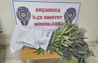 Çatı katında uyuşturucu yetiştiren şahıs polise...