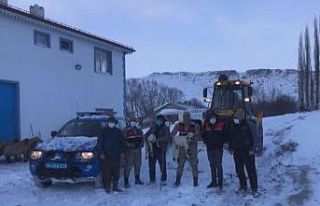 Çatısı çöken ahırdaki hayvanları jandarma ekipleri...