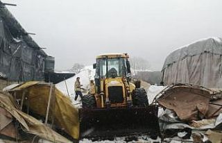 Çekmeköy’de ahırın çatısı çöktü: Çok...