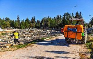 Ceylanpınar ilçe genelinde ilaçlama çalışmalarına...