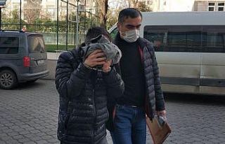 Cezaevinden izinli çıkıp annesini darp eden şahıs...