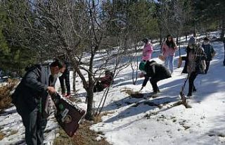 Çiçekdağı’nda kuşlar için dağlara yem bırakıldı