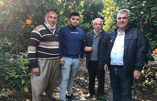 Çiftçi üretiyor aracı kazanıyor