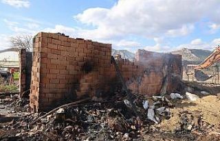 Çıkan ahır yangınında 56 hayvanı telef olan...