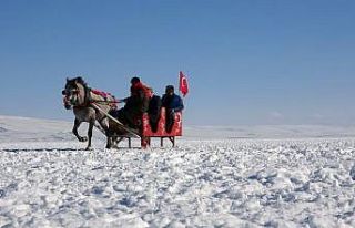 Çıldır Gölü’nde heyecanlı anlar