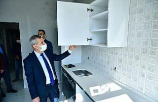 Çınar, Yeşil Topsöğüt konutlarının örnek...