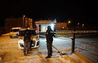 Çocukların kartopu eğlencesi bir siteyi karantinaya...