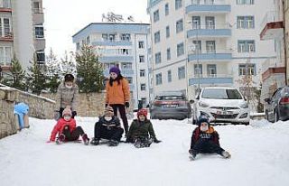 Çocukların tepsiyle kayak keyfi