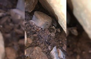 Çukurca’da anti personel mayını ele geçirildi